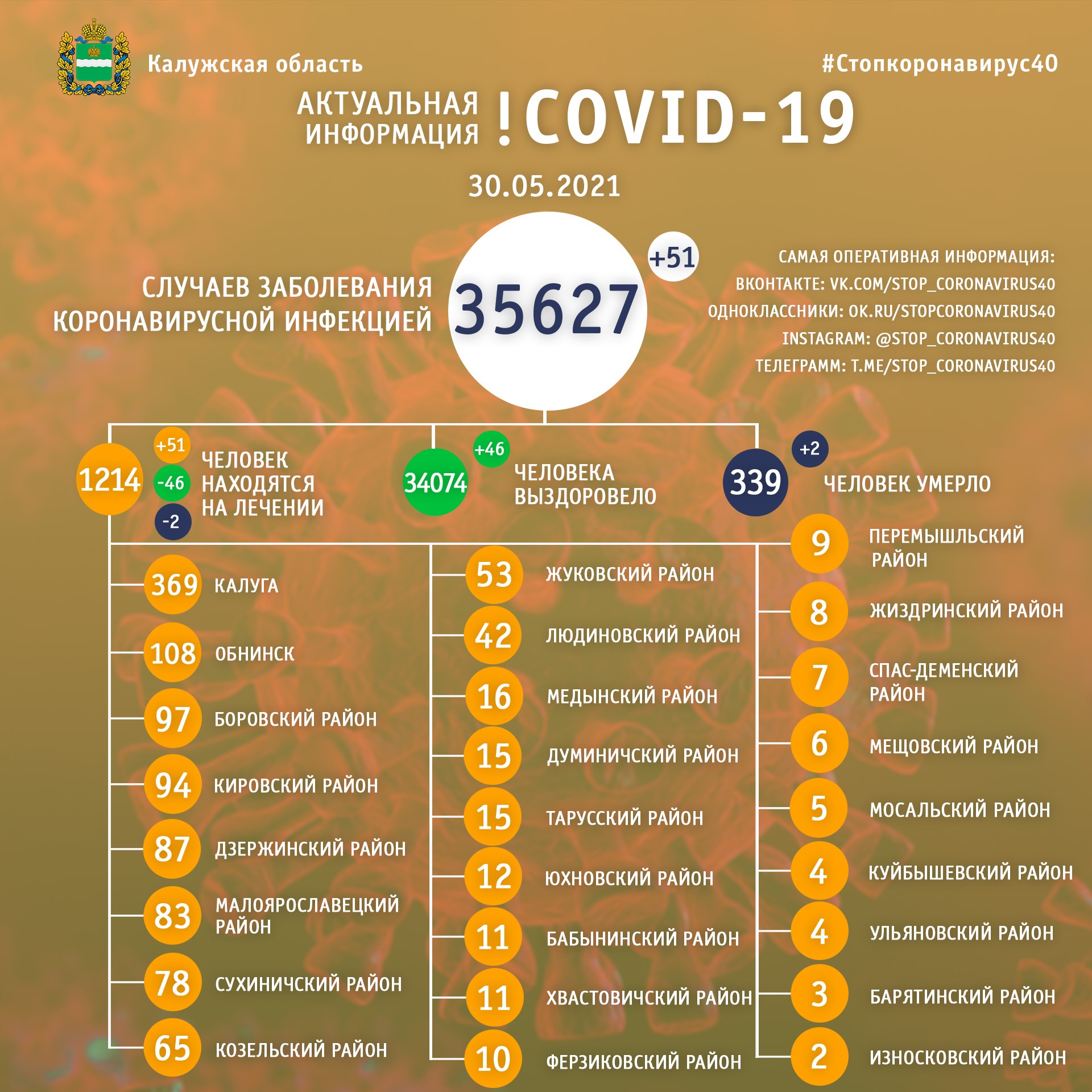 Официальная статистика по коронавирусу в Калужской области на 30 мая 2021 года.
