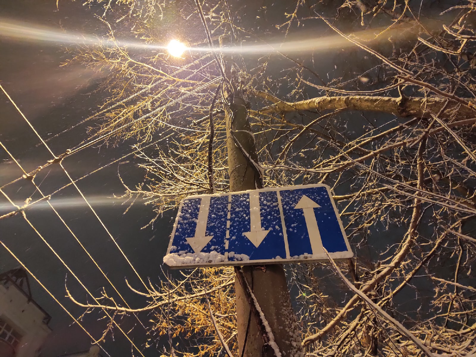 Снег Калуга снегопад 2020 фоторепортаж