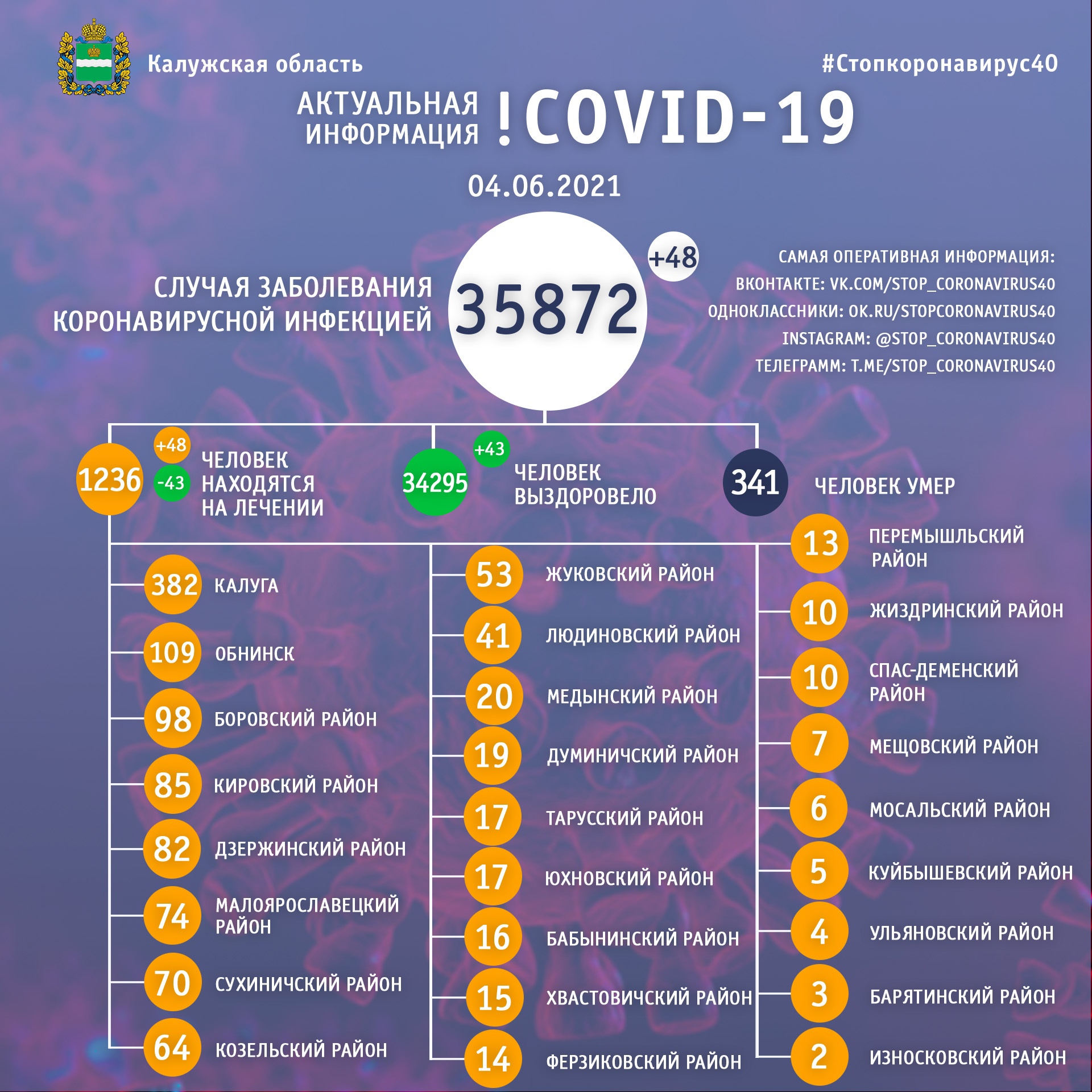 Официальная статистика по коронавирусу в Калужской области на 4 июня 2021 года.