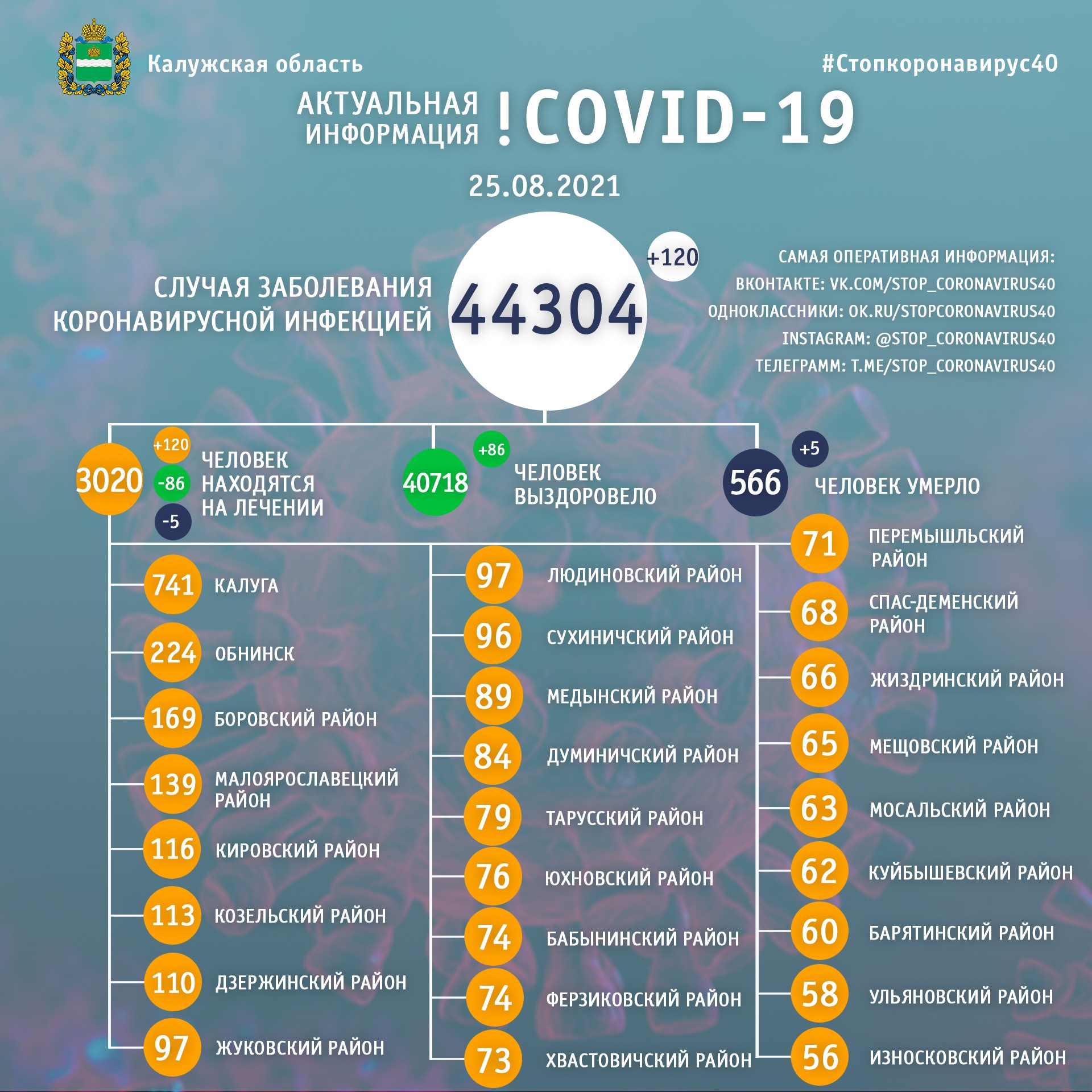 Официальная статистика по коронавирусу в Калужской области на 25 августа 2021 года.