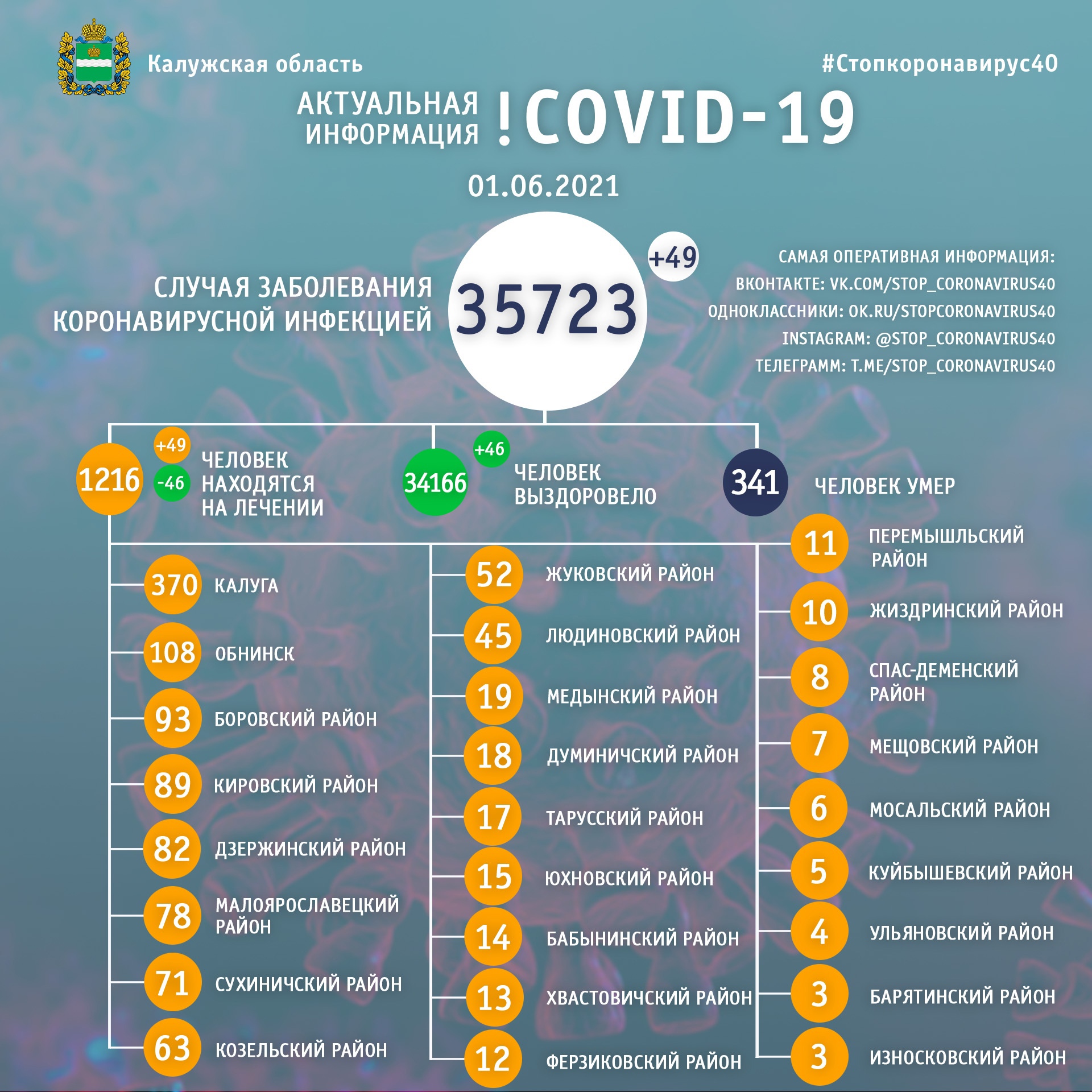Официальная статистика по коронавирусу в Калужской области на 1 июня 2021 года.