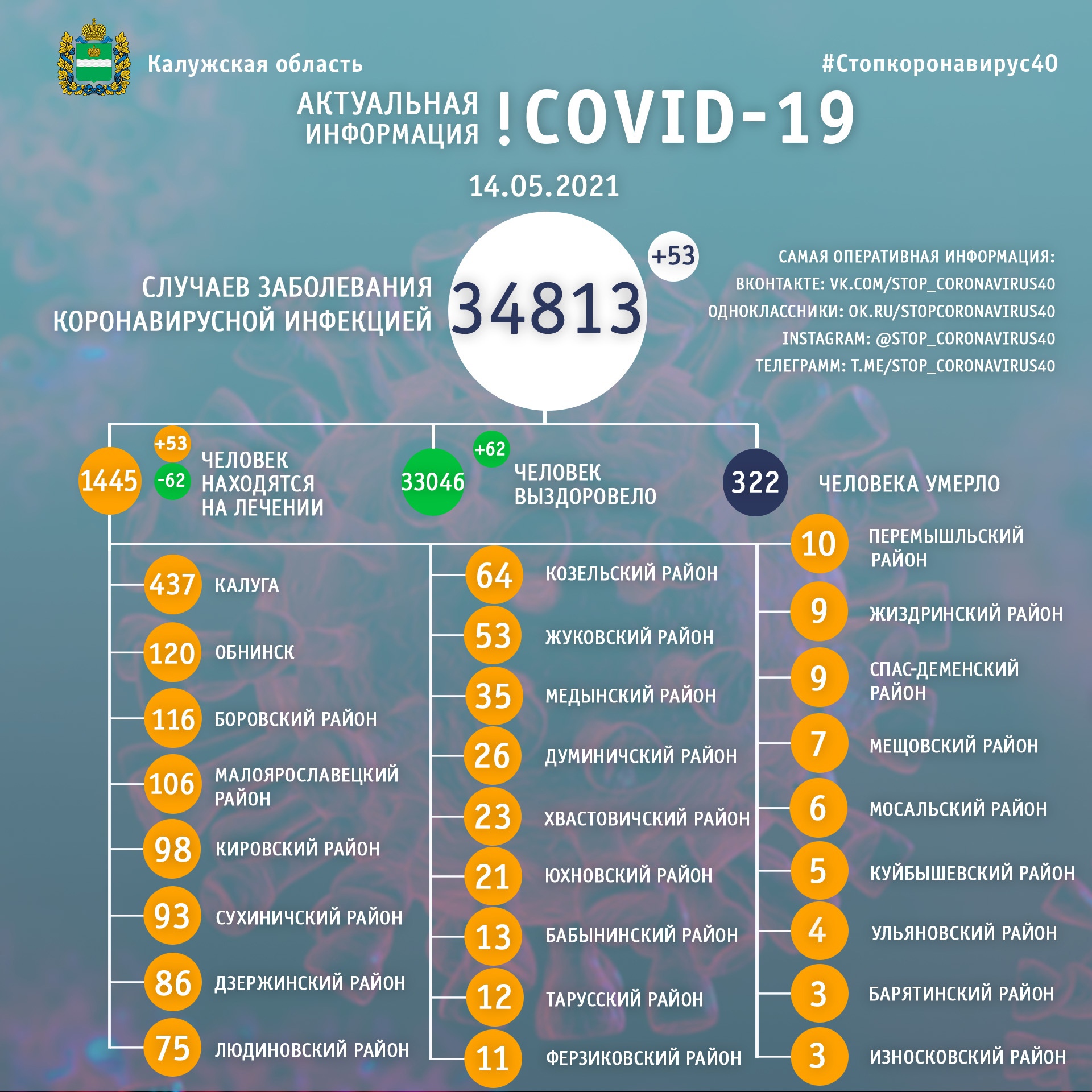 Официальная статистика по коронавирусу в Калужской области на 14 мая 2021 года.