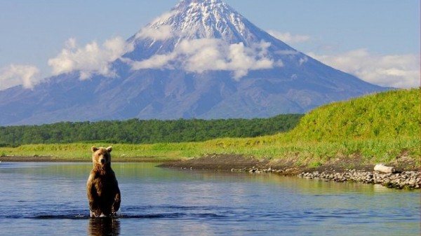Первый житель области подал заявку на получение дальневосточного гектара