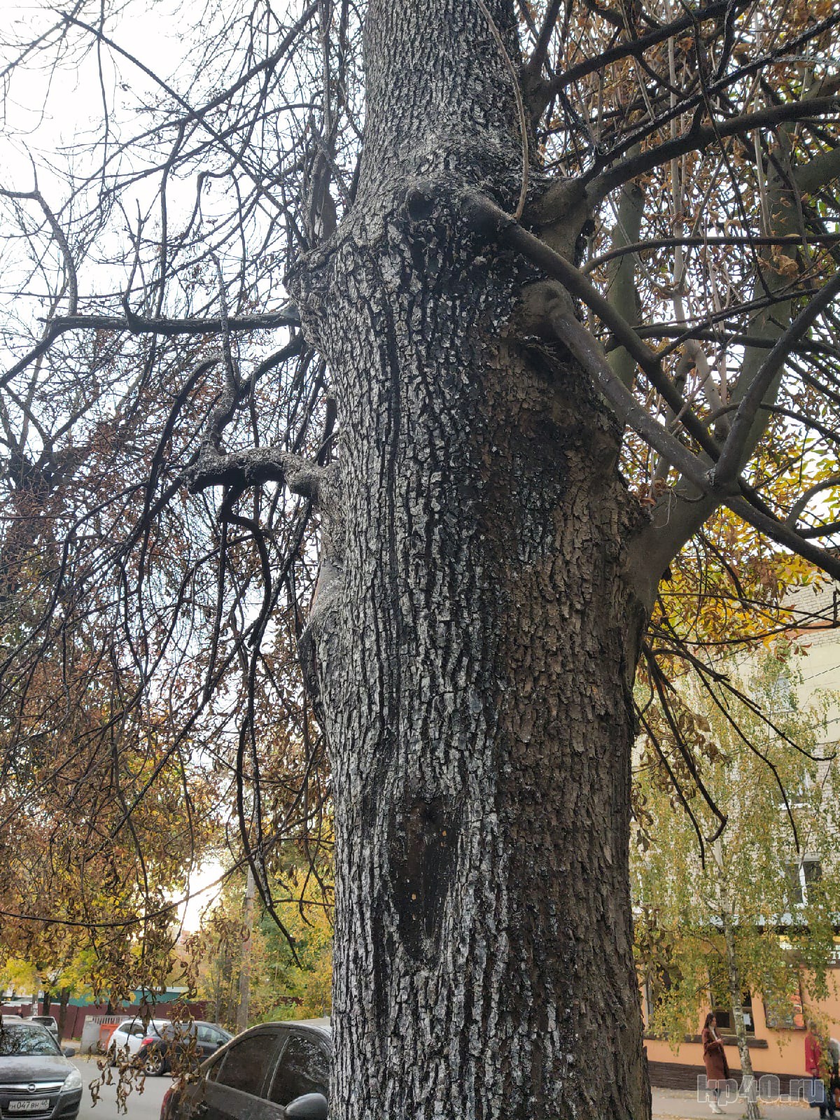 Пожар Калуга Тульская фото
