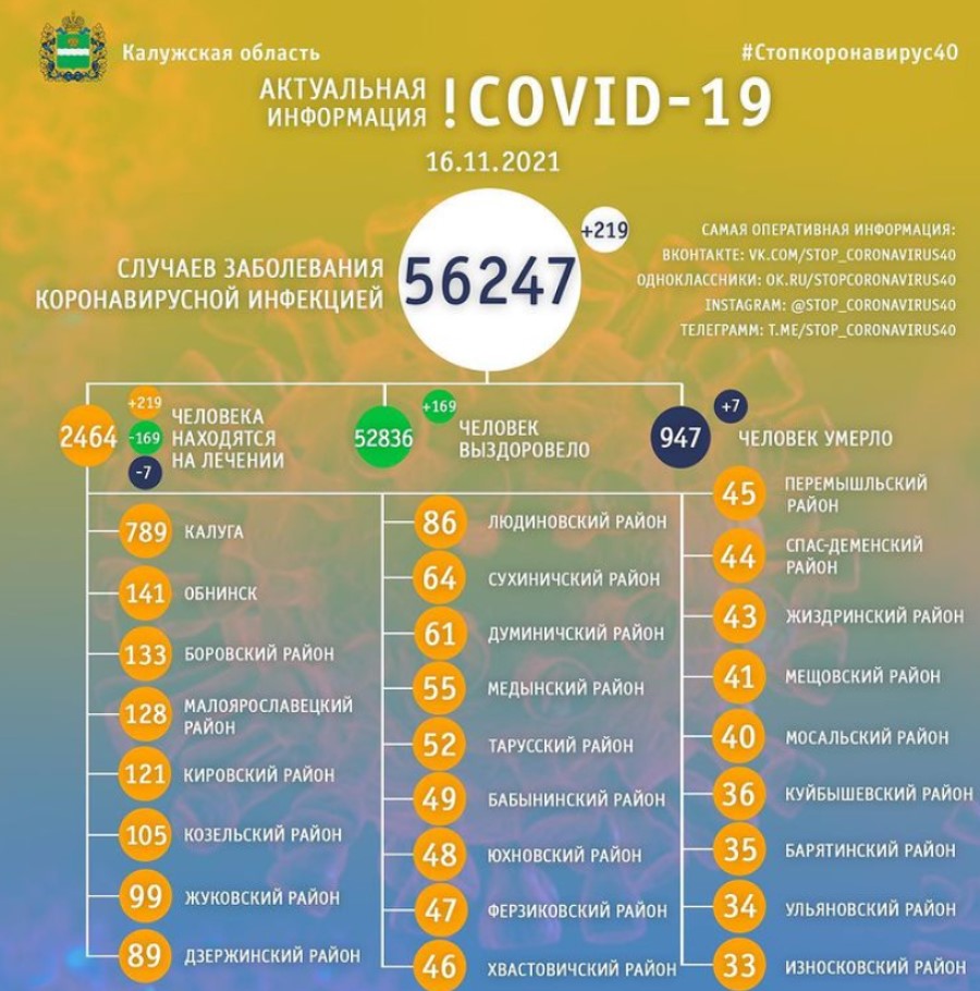 Официальная статистика по коронавирусу в Калужской области на 16 ноября 2021 года.