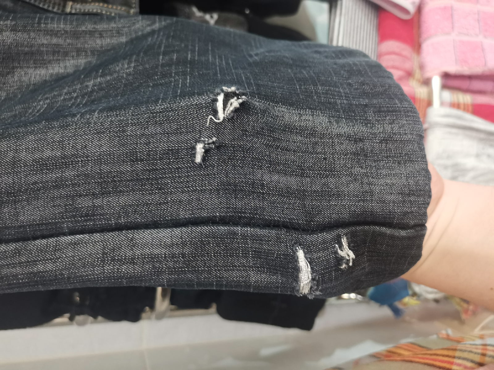 Лиса Калуга