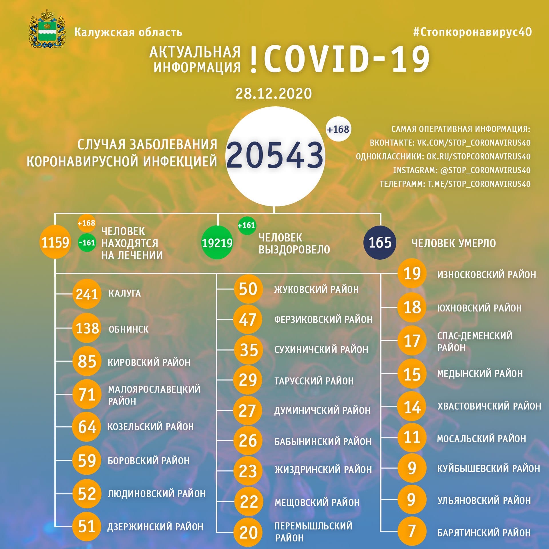 Официальная статистика по коронавирусу в Калужской области на 28 декабря 2020 года.