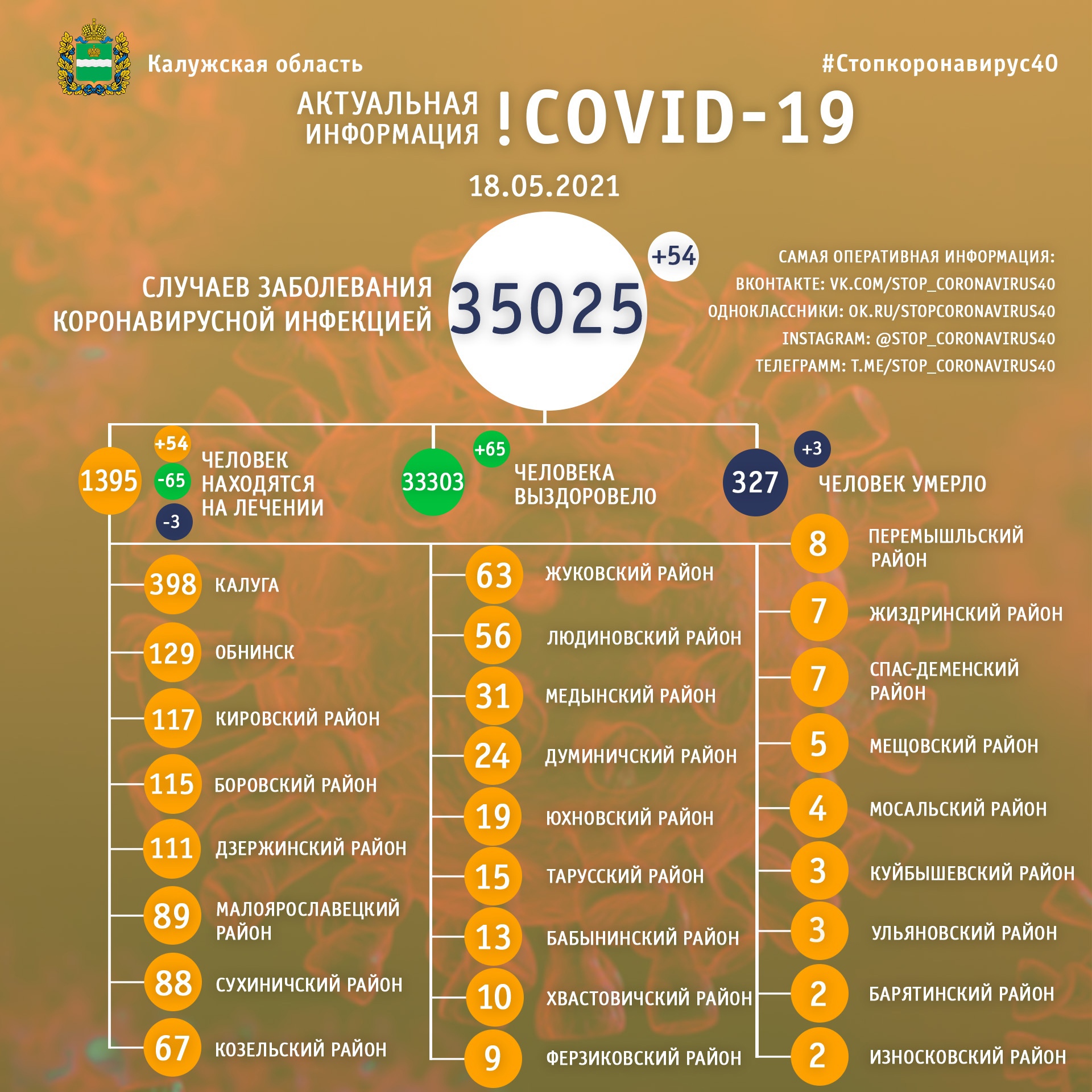Официальная статистика по коронавирусу в Калужской области на 19 мая 2021 года.