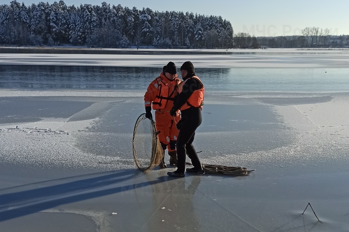 Лебедь на озере лед МЧС Людиново Калужская область