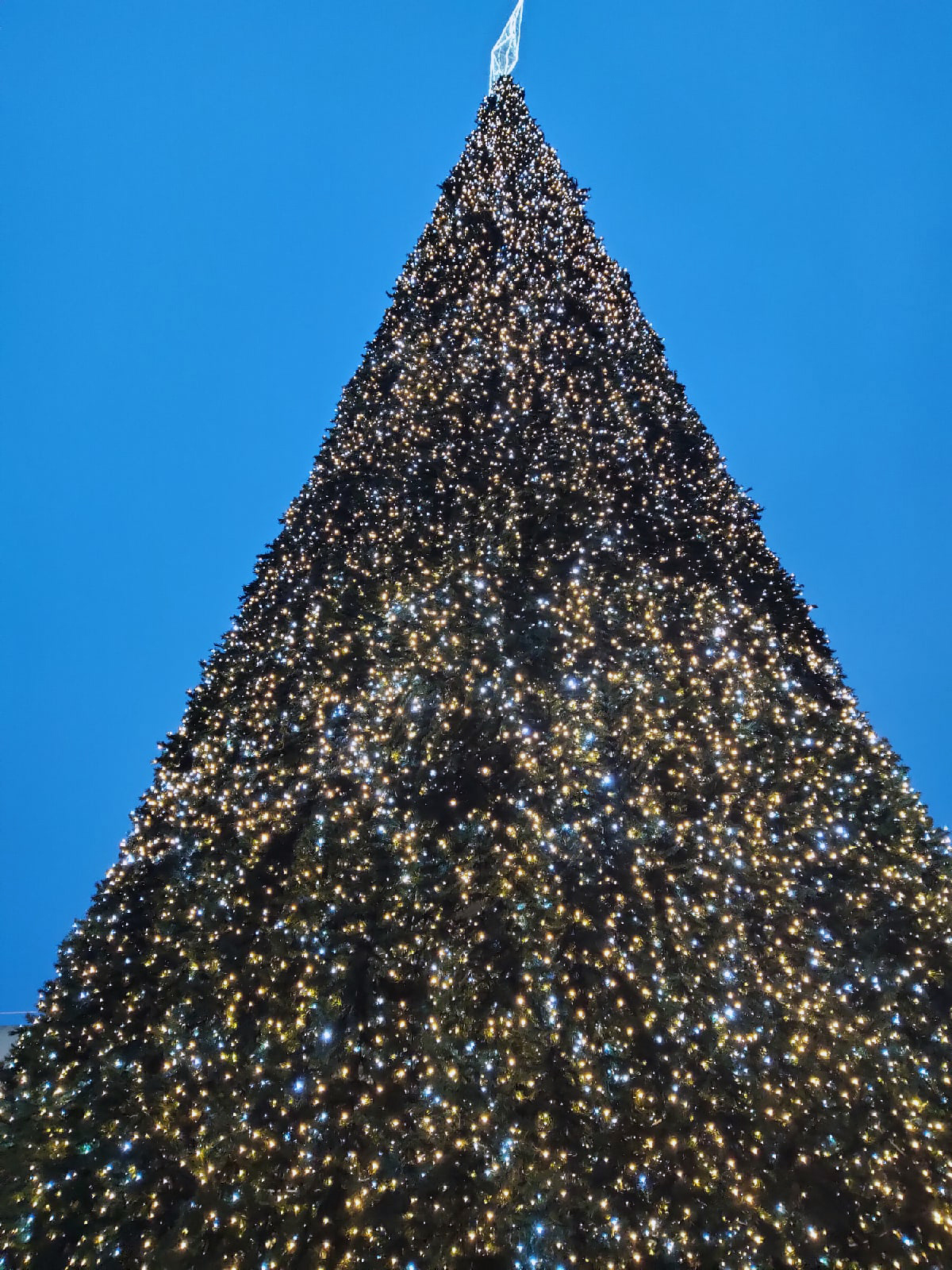 елка калуга новогодняя столица россии афиша 2021 новый год