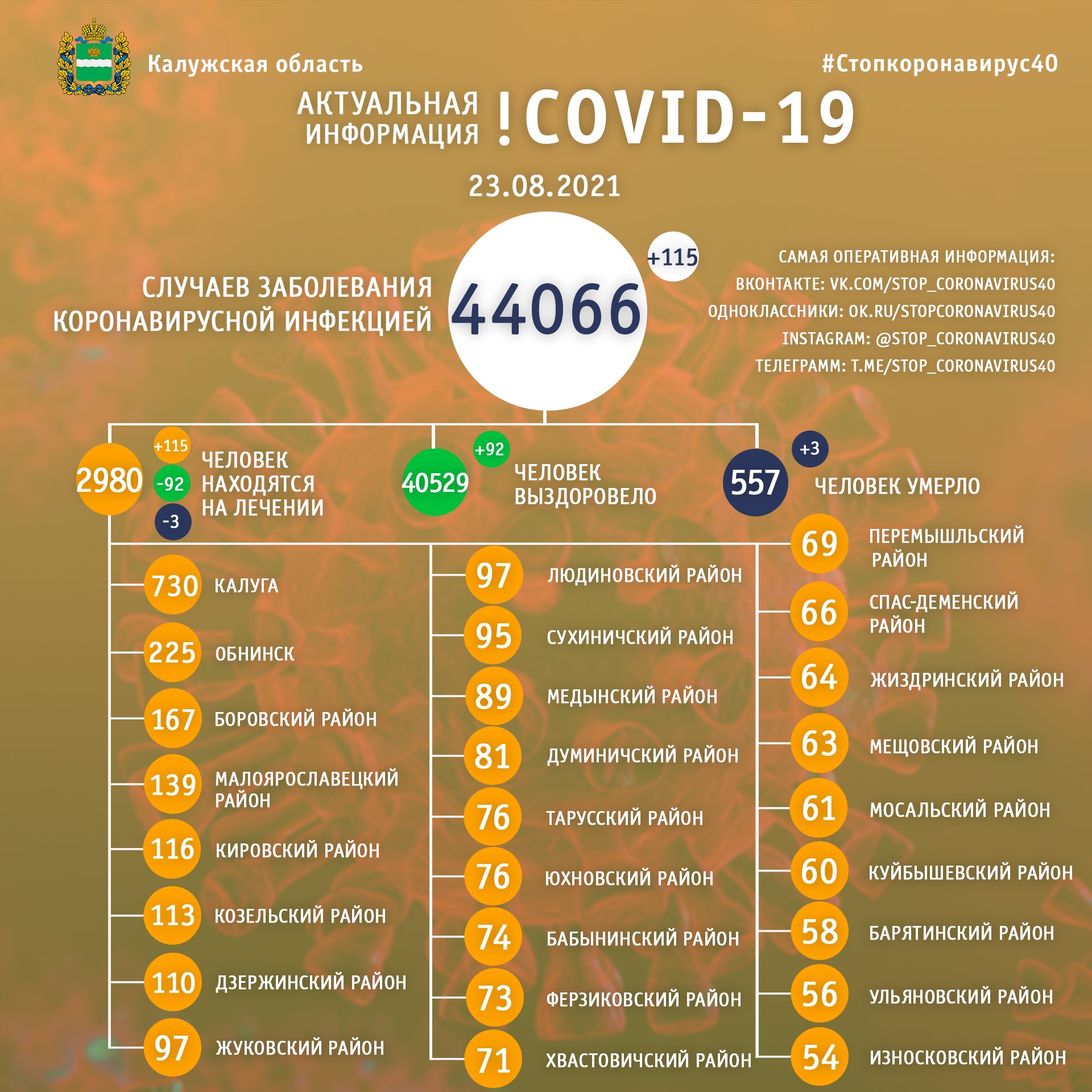 Официальная статистика по коронавирусу в Калужской области на 23 августа 2021 года.