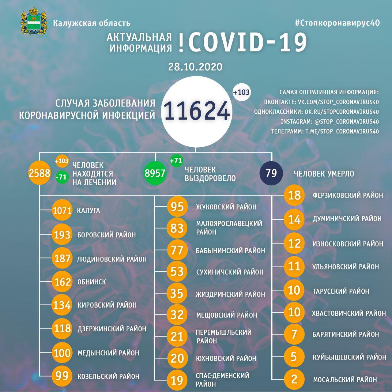 Официальные данные по коронавирусу в Калужской области на 28 октября 2020 года.