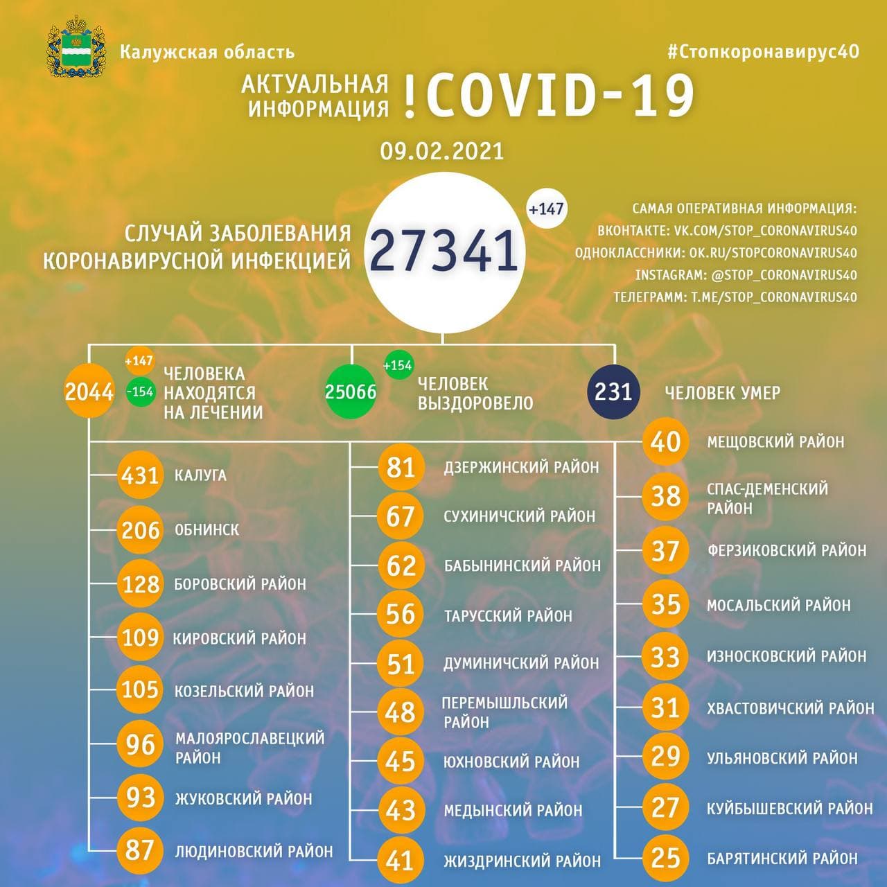 Официальные данные по коронавирусу в Калужской области на 9 февраля 2021 года.
