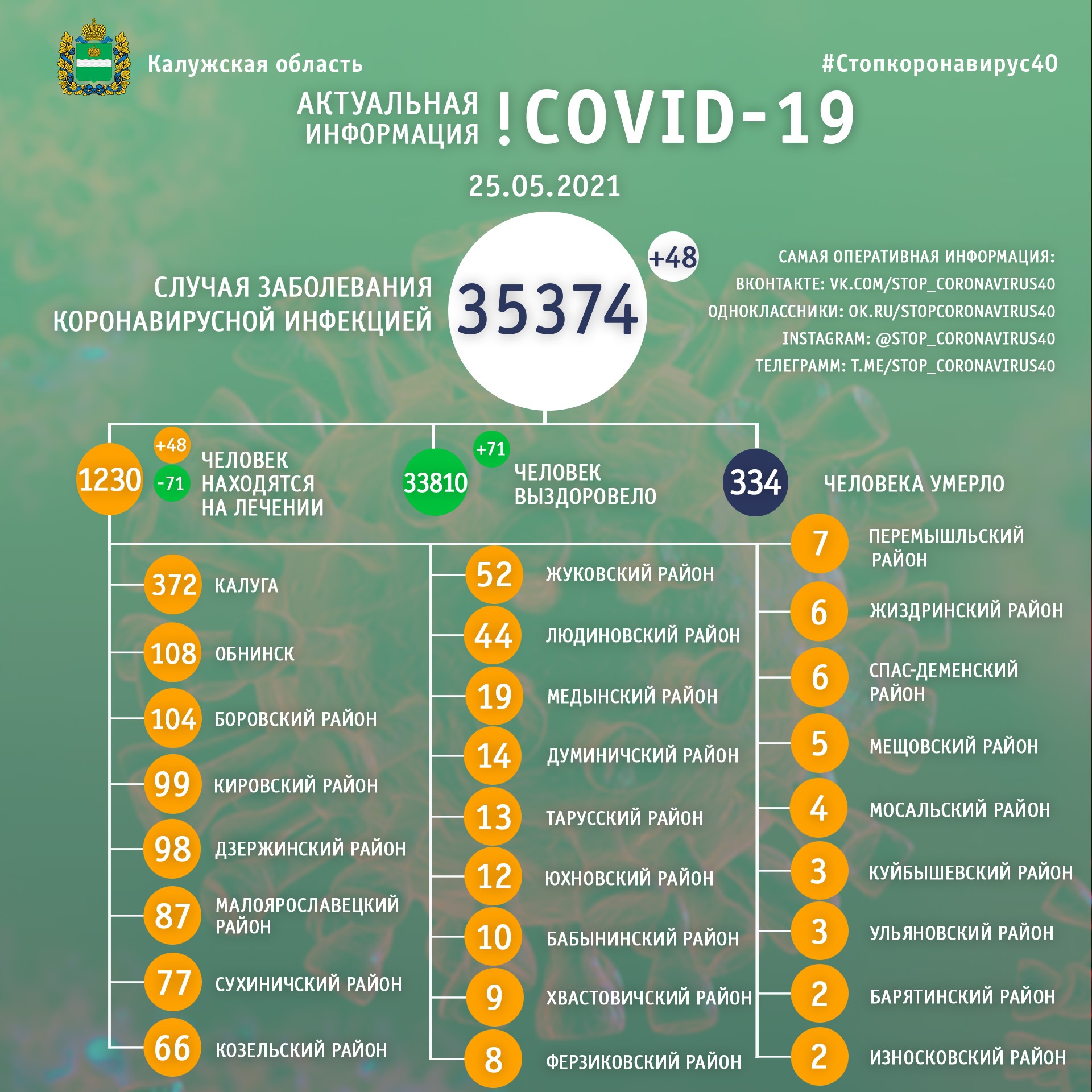 Официальная статистика по коронавирусу в Калужской области на 25 мая 2021 года.