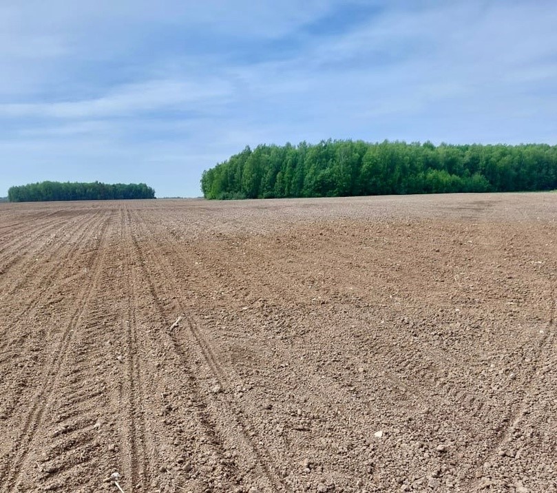 В Калуге успешно завершили посевную - Общество - Новости - Калужский ...