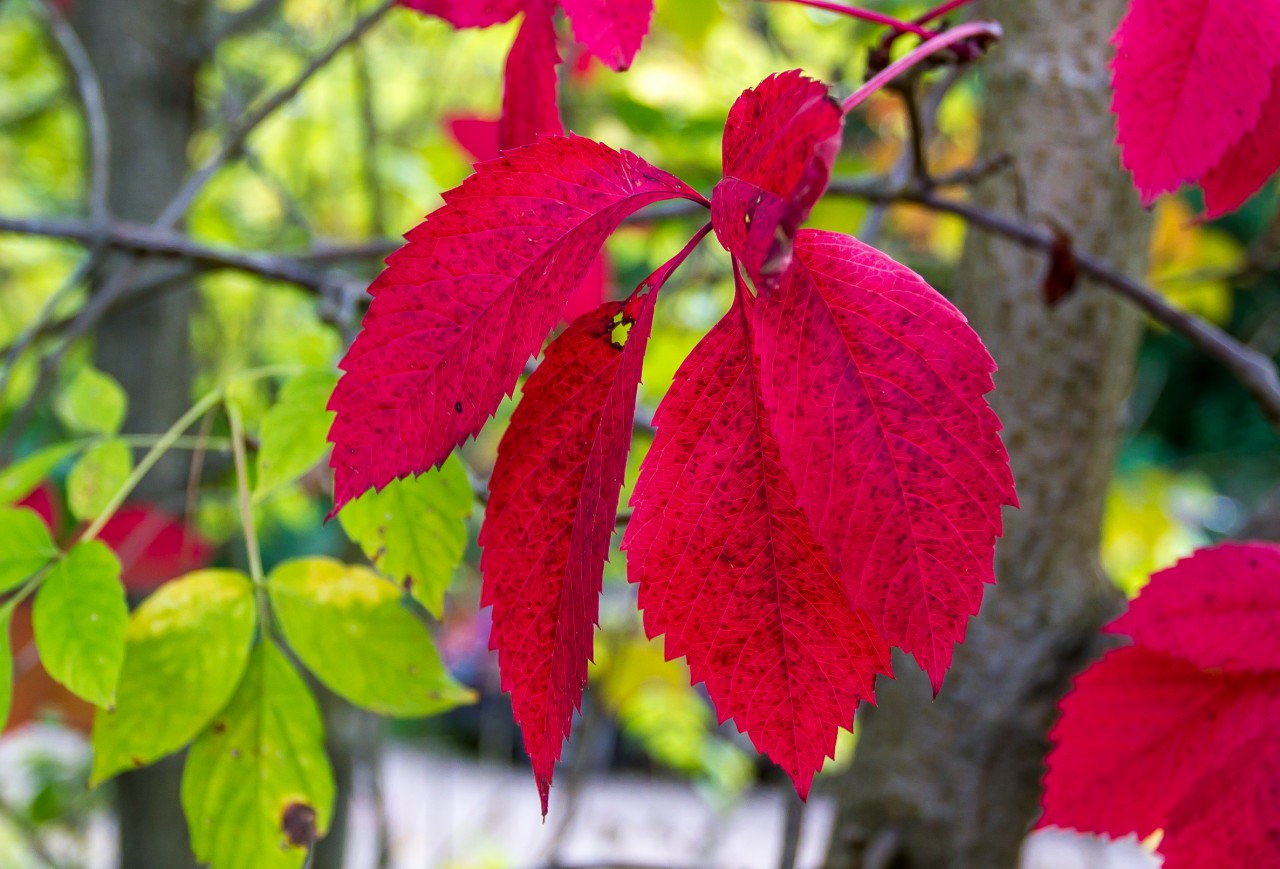 В Калуге побит температурный рекорд 1934 года - Погода - Новости ...