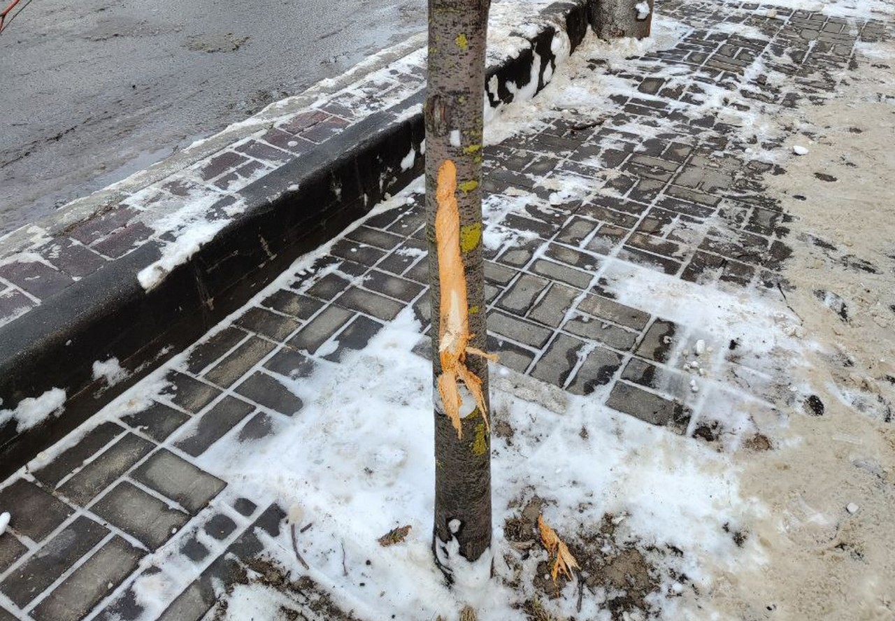 Парк в кирове калужской области. Киров калужской сегодня. Киров калужской сегодня. Киров калужскаяоьласть. Город киров калужская область.