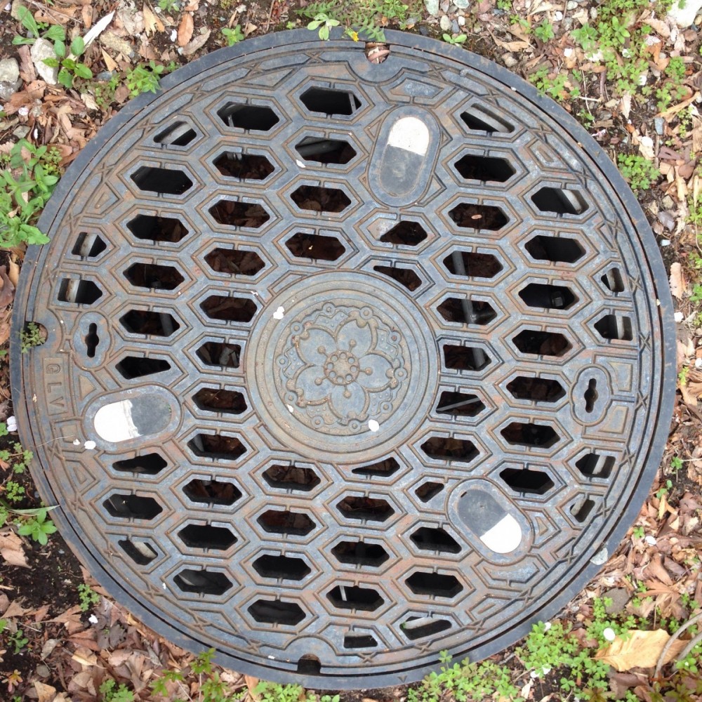 Открытый люк «закрыли» прокуроры - Одной строкой - Новости - Калужский ...