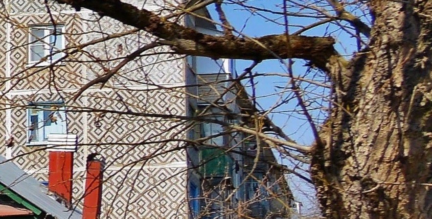 Газель в калуге