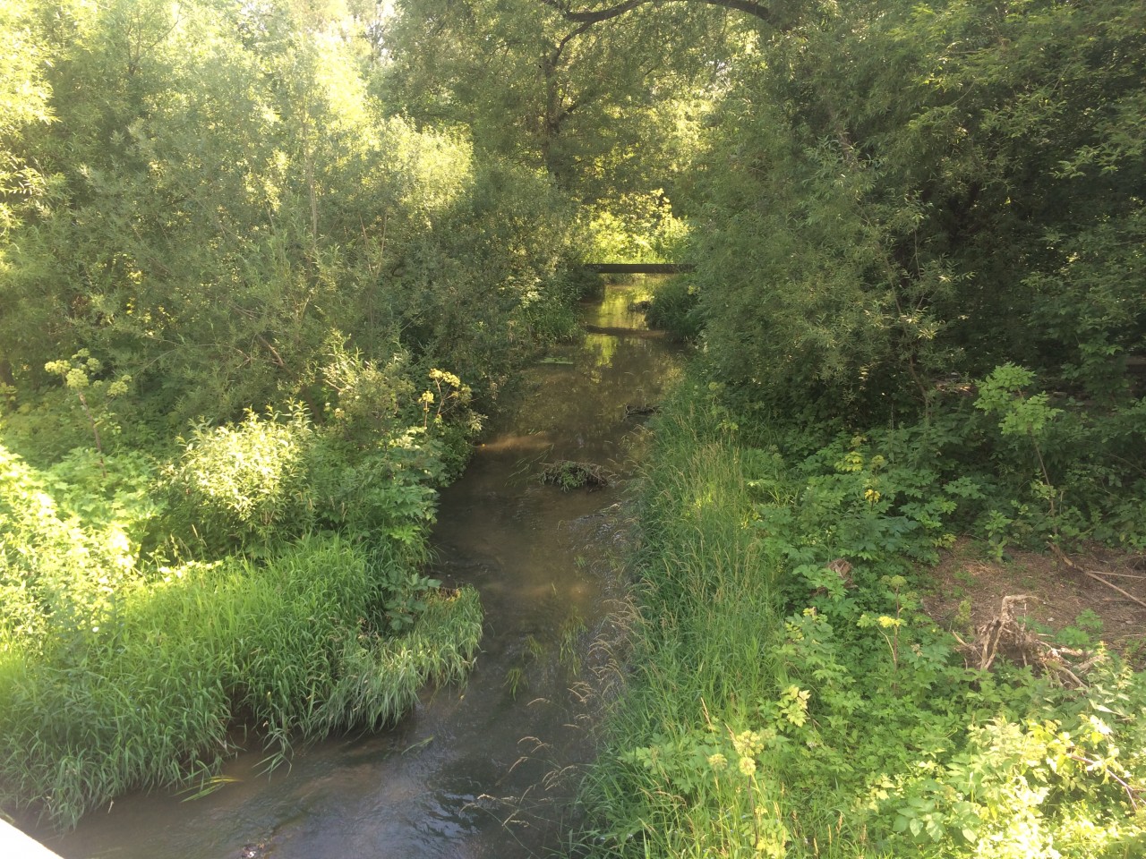 Станция водоподготовки. Московский водопровод. Река дырочная калужская область. Река протва калужская область рыбалка. Вода калужская область.