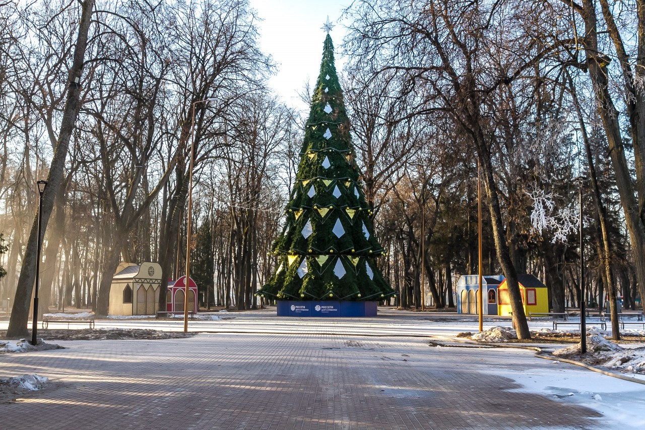 Коронавирусный Новый Год Коронавирусный Новый Год