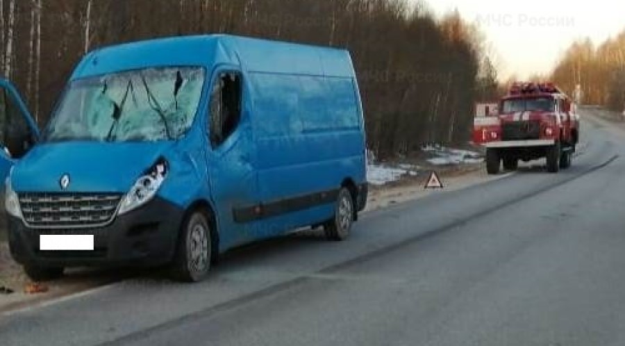 Рено престиж калуга