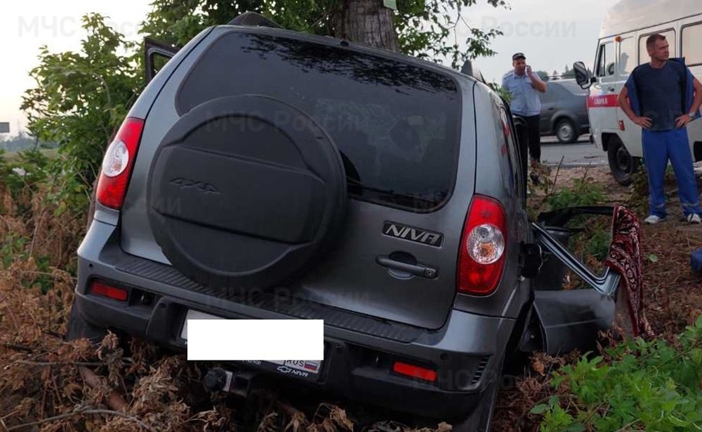 Автошкола нива шемурша