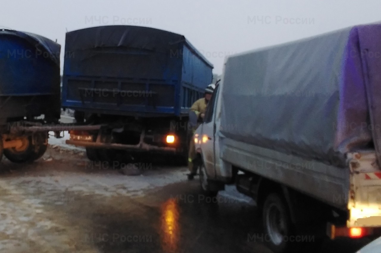 Водитель газели калуга
