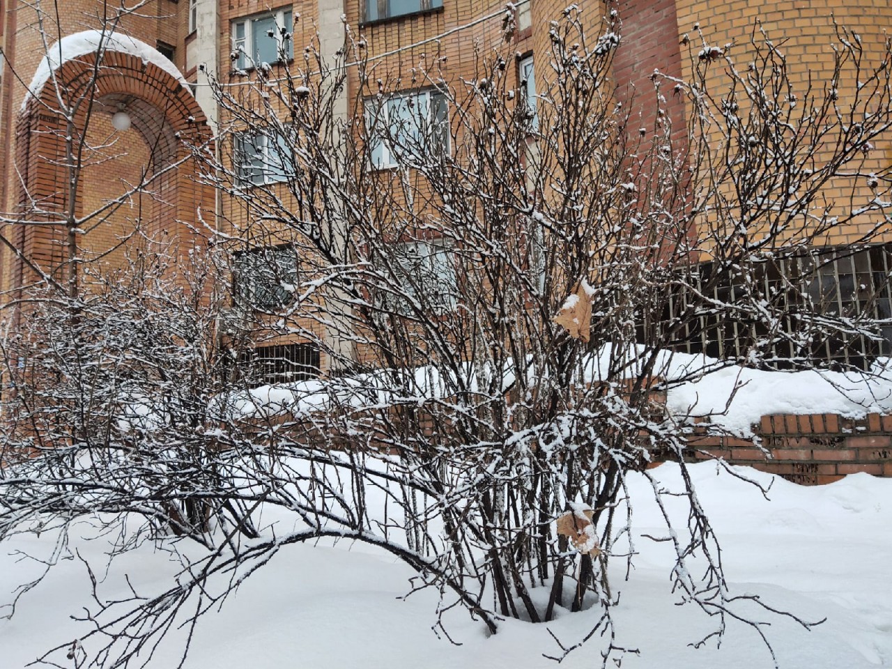 Никольское калуга. Снег с дождем Калуга. В Калужской области прогнозируют дожди.