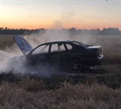 В гатчине сгорел автомобиль