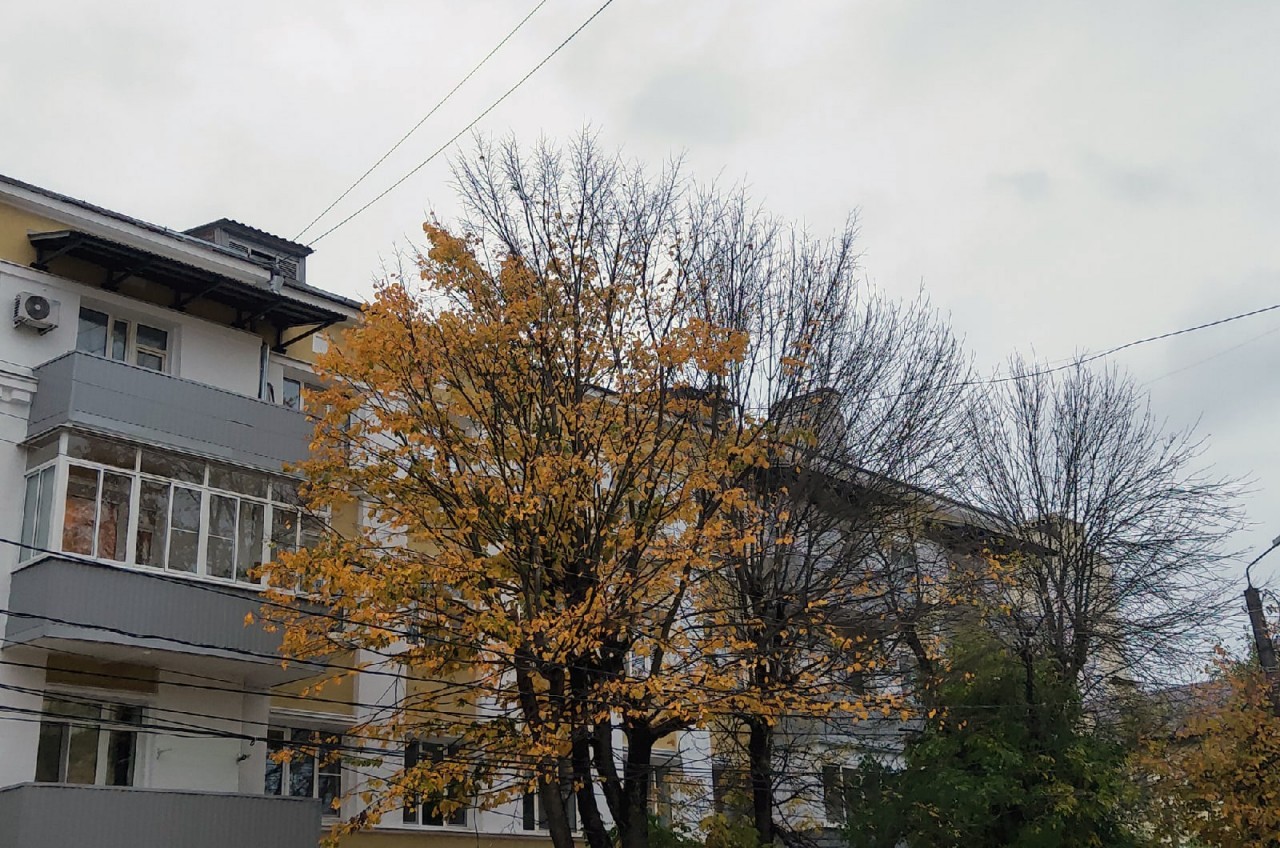 Тойота в калуге Тойота в калуге