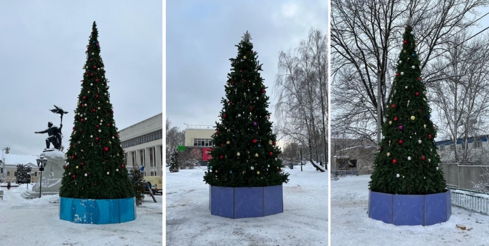 В Калуге установили первые новогодние елки