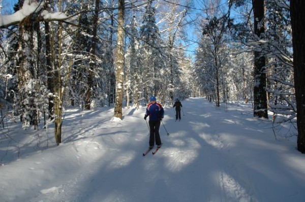 Новогодние каникулы: где в Калуге покататься на коньках, лыжах и санках