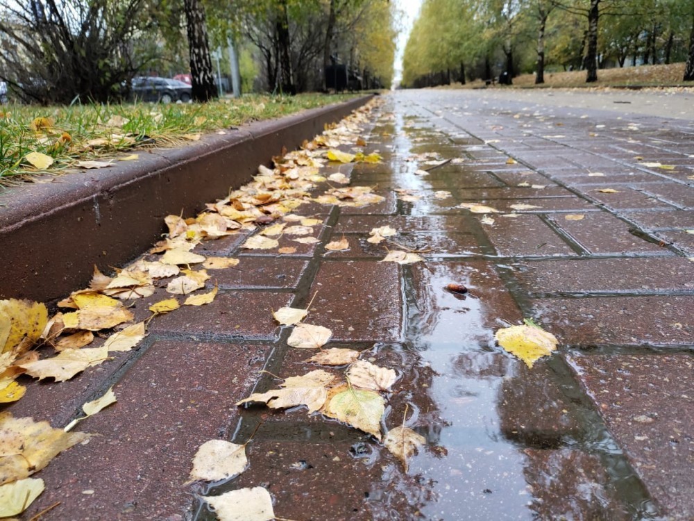 В Калужской области ожидается облачная и прохладная погода