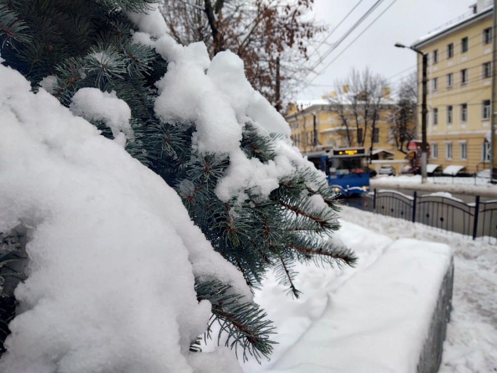 В Калуге снег продолжит таять 24 ноября