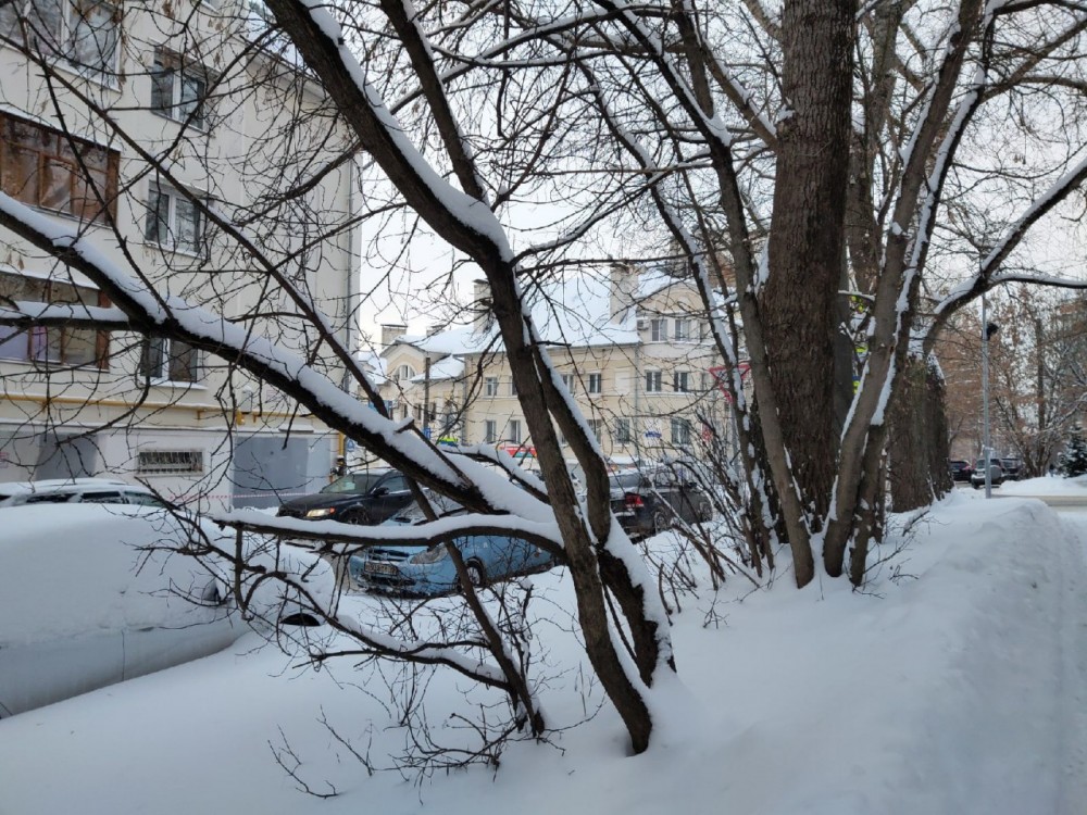 В Калужской области прогнозируют резкое потепление
