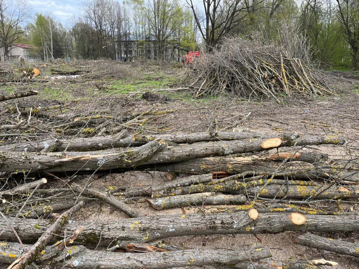 Такая картина предстала передо мной в день посещения территории будущей стройки.