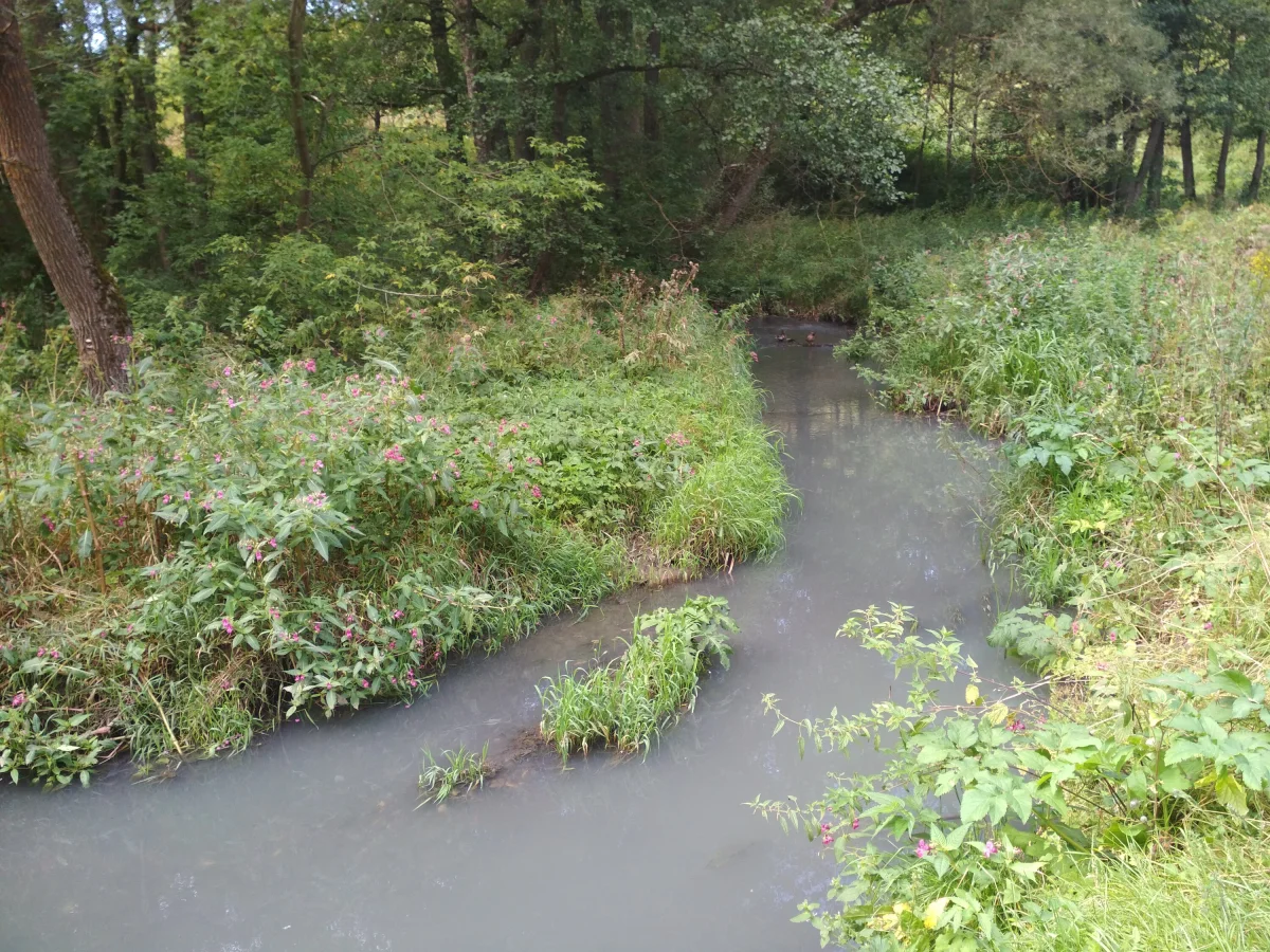 Река выше по течению от родника