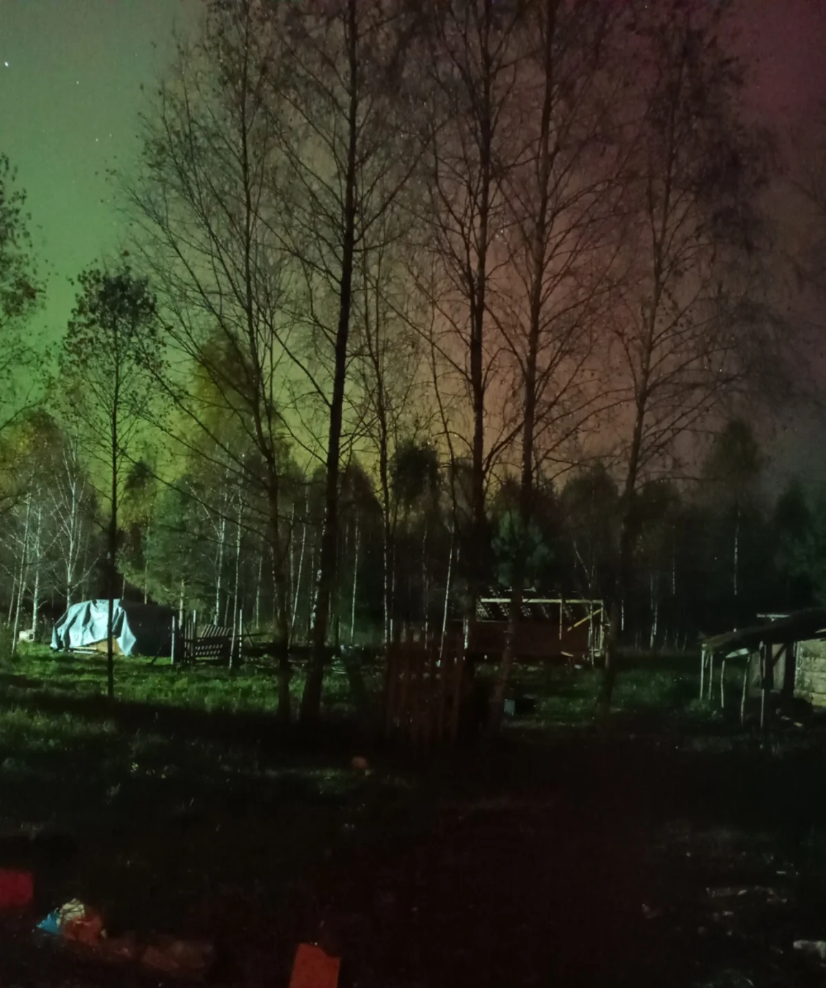 Фото Арины Даниловой. Снимок сделан в Мосальском районе. 