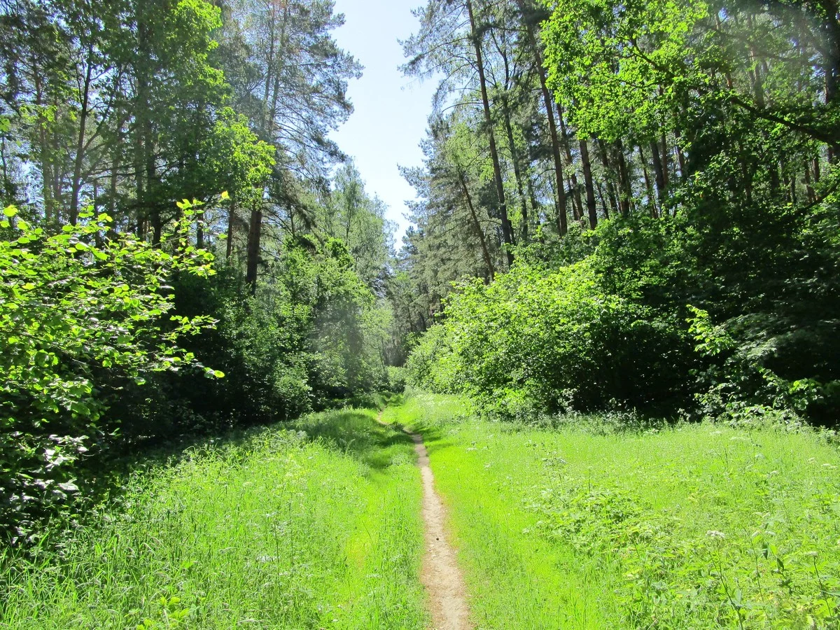 Чтобы зарядиться биоэнергией, Николай Побоченко  дает такой совет: «С добрыми намерениями смотрите на пейзаж и представляйте поступление биоэнергии через зрачки глаз в солнечное сплетение».