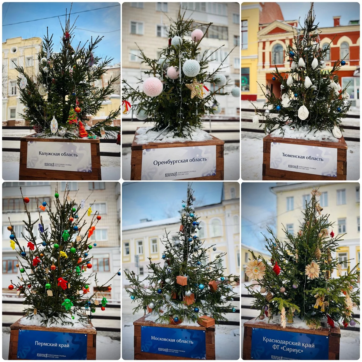 Каждая елка была уникальна.