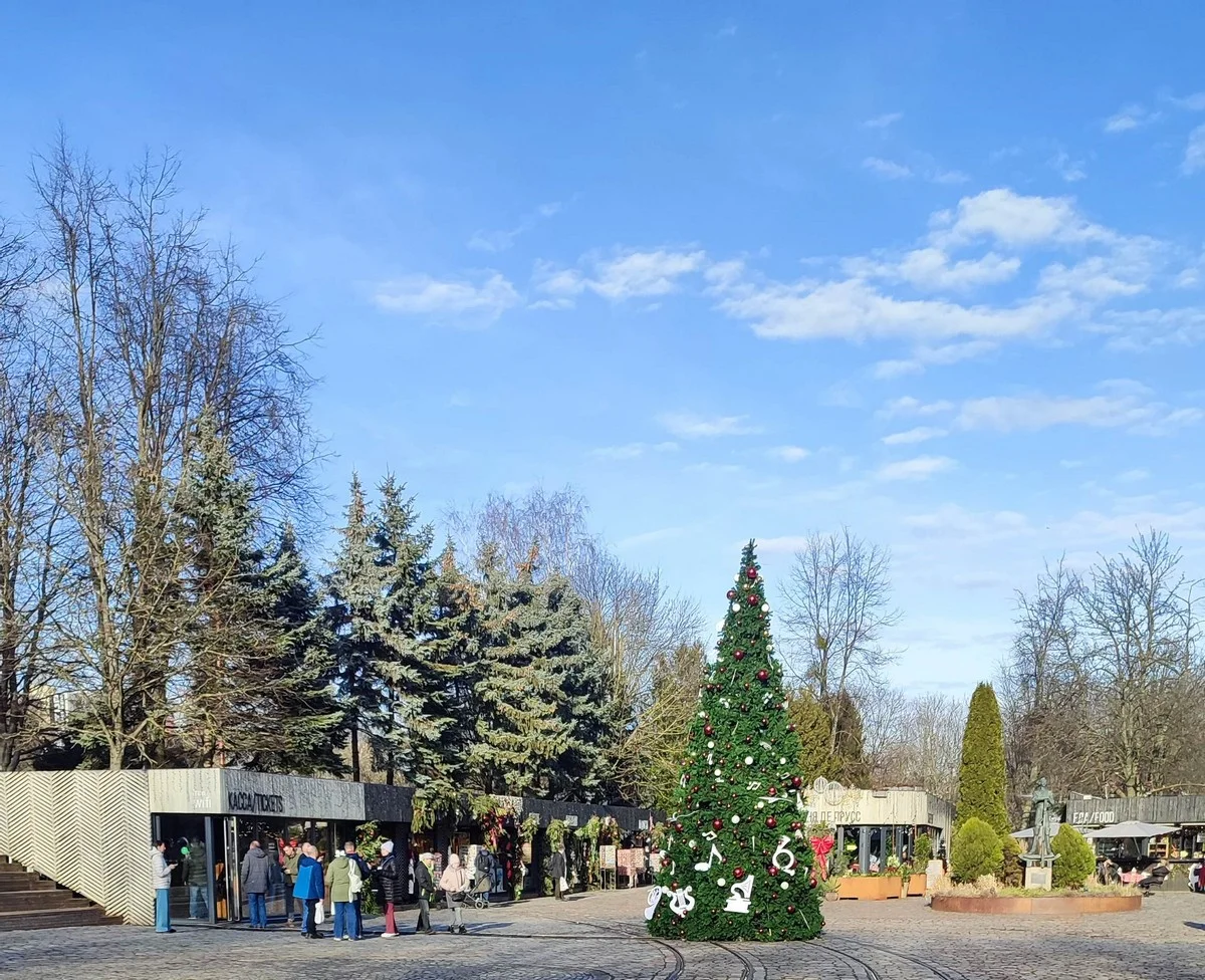 В городе в феврале ещё стояли елки.