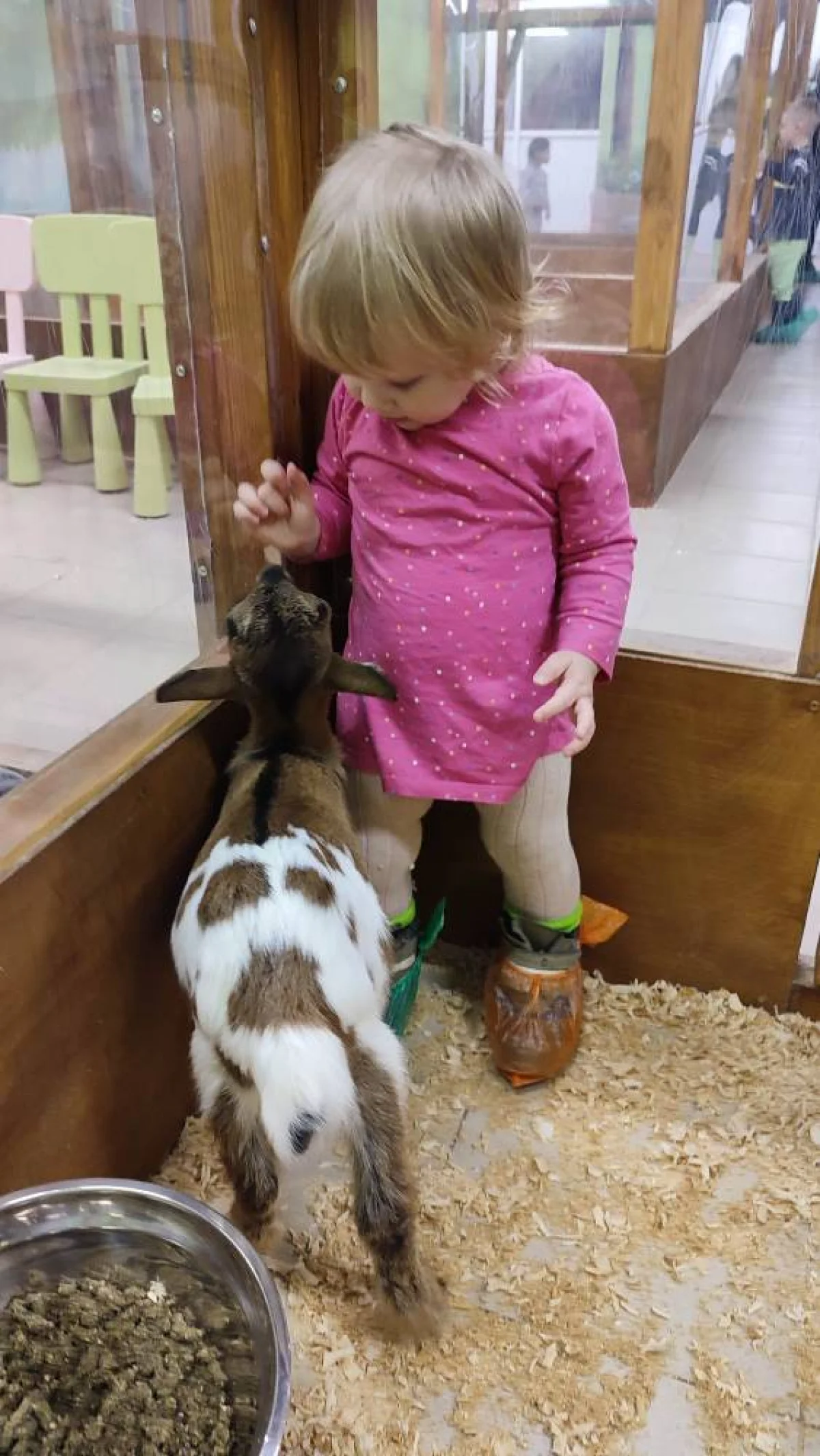 Этот козлик стал любимым у Василисы.