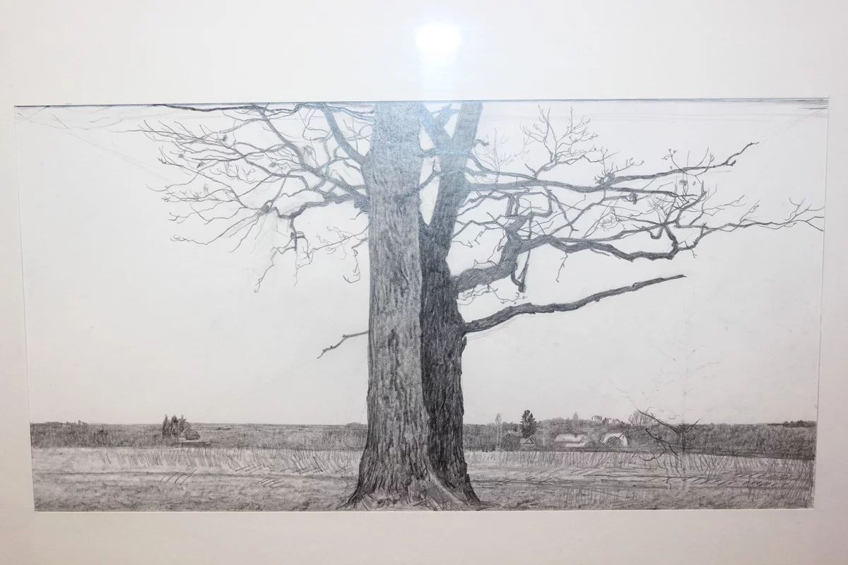 «Дуб просыпается».