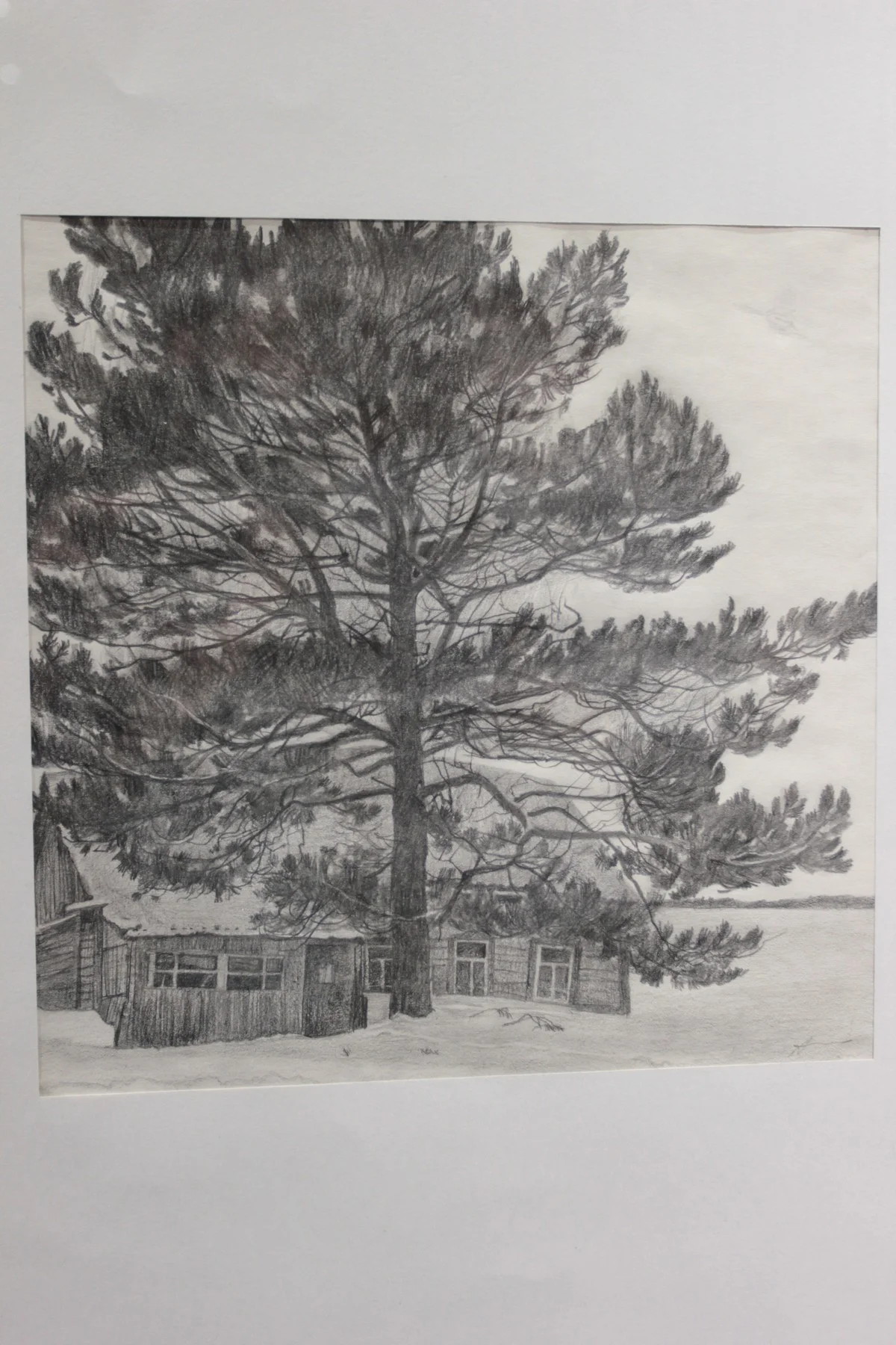 «Последний дом» 