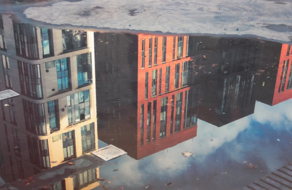 «Отражения». Фото Натальи Пресняковой (г. Москва) 