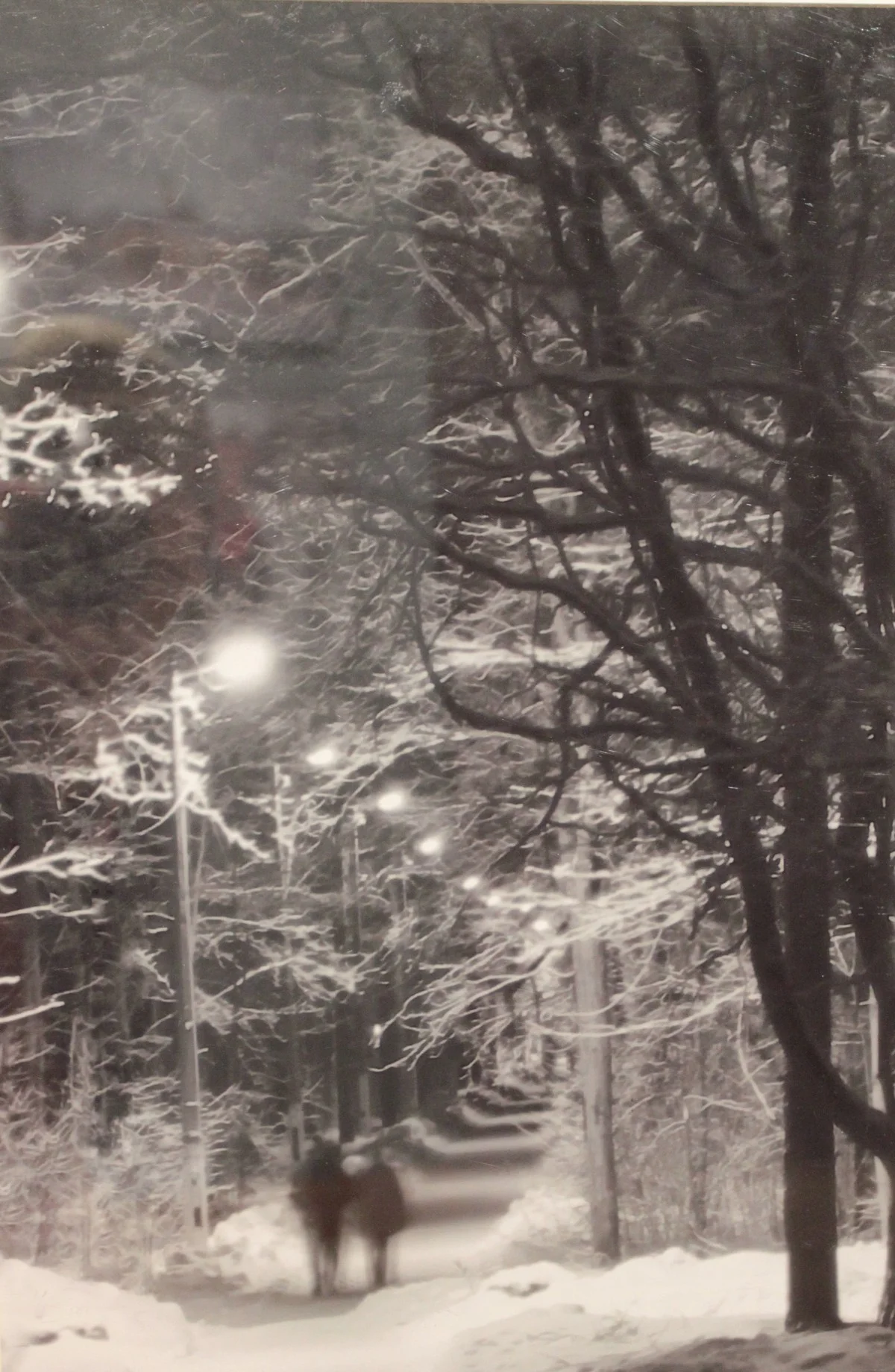 «Валентин и Валентина». Фото Алины Ефимовой (г. Санкт-Петербург)