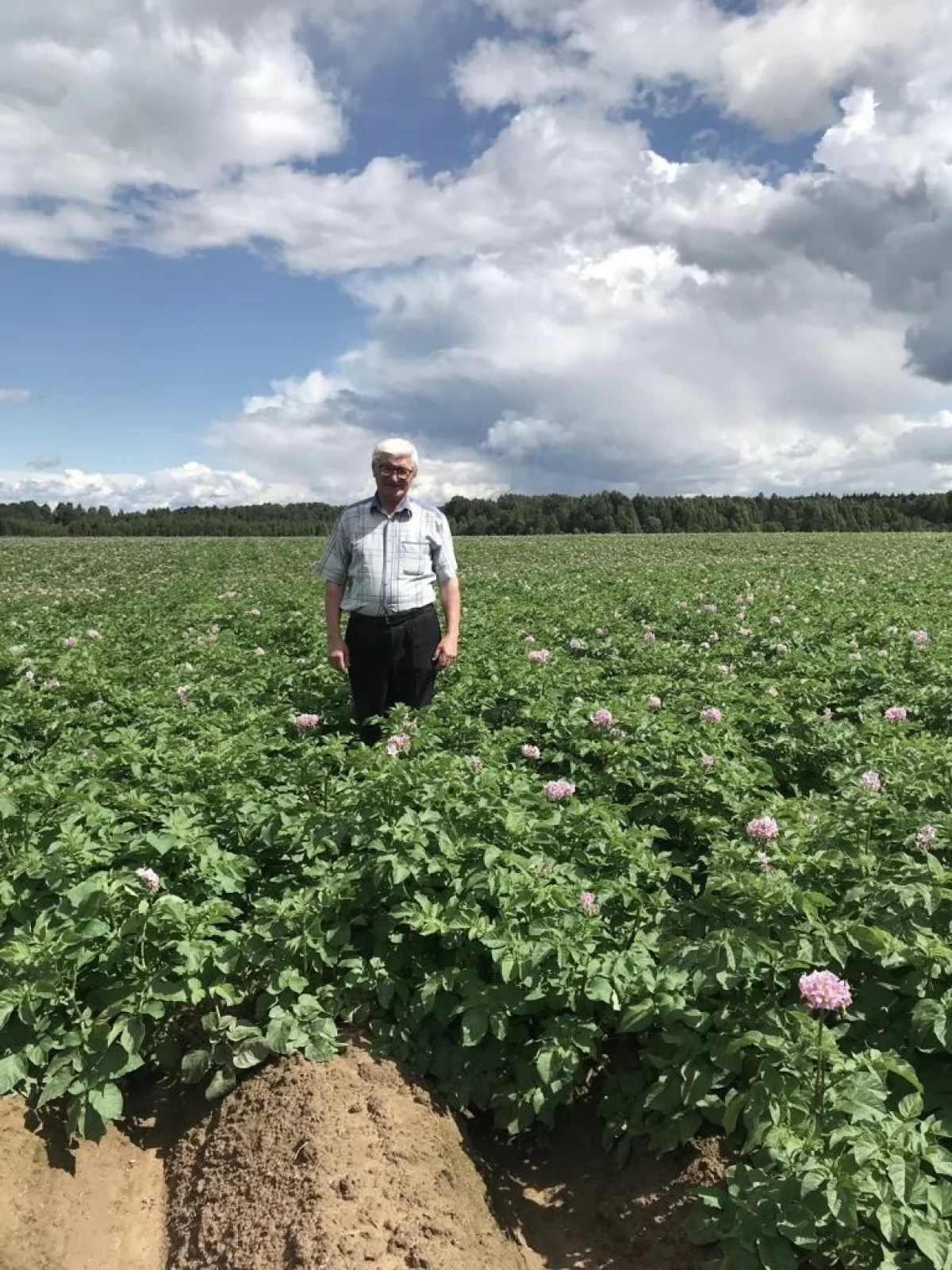 Александр Глухов делает высокие грядки.