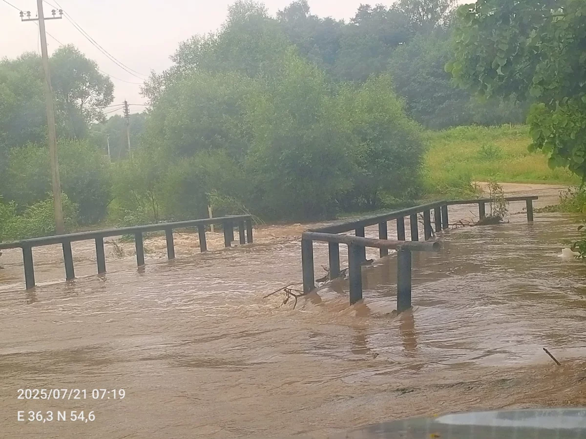 Мост между Доможирово и Груздово