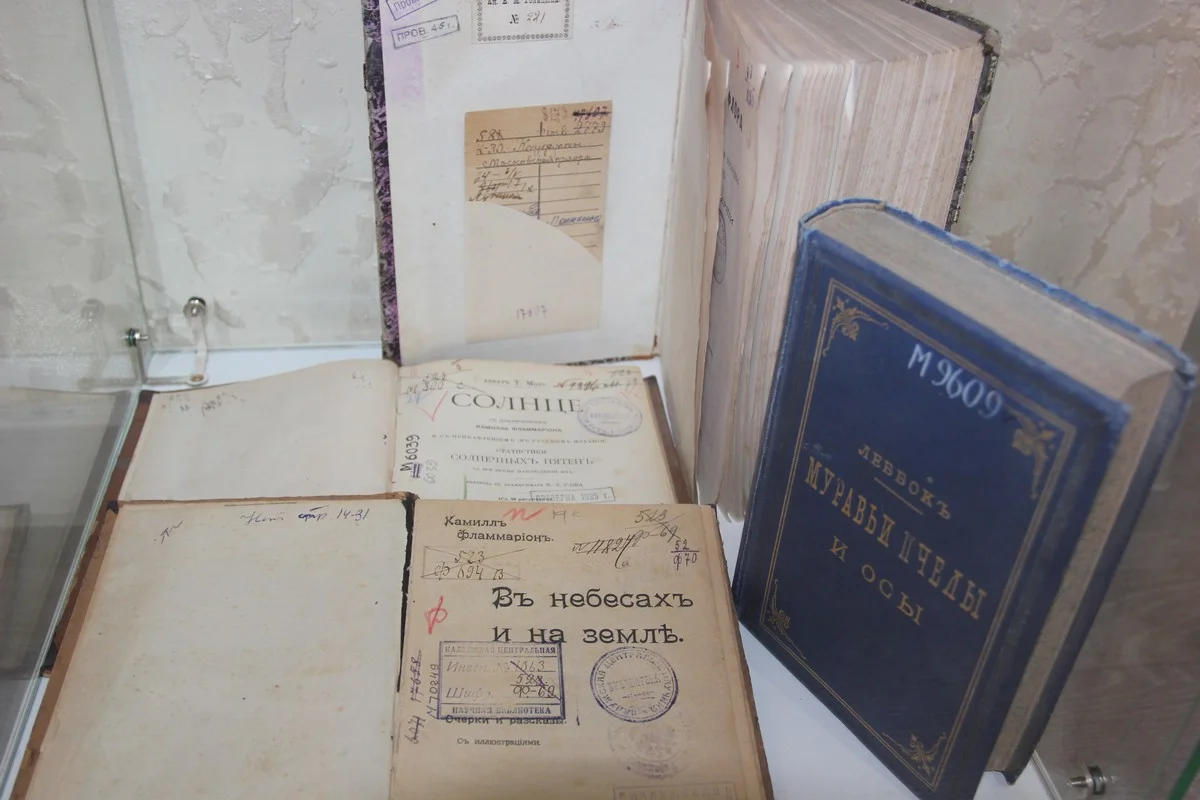 Книги, которые спасла скромная библиотекарь.